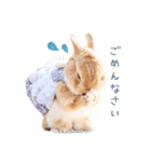 うさぎのれおたん。（個別スタンプ：7）
