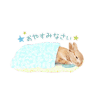 うさぎのれおたん。（個別スタンプ：8）