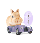 うさぎのれおたん。（個別スタンプ：14）
