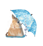 うさぎのれおたん。（個別スタンプ：15）