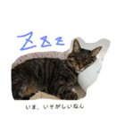 みみっち（個別スタンプ：2）