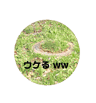 ぺんぺんのスタンプ2（個別スタンプ：14）