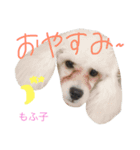 家の愉快な犬たち（個別スタンプ：2）