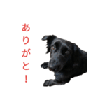 グラのひとこと（個別スタンプ：2）