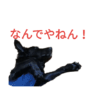 グラのひとこと（個別スタンプ：4）