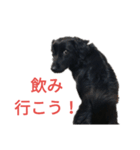 グラのひとこと（個別スタンプ：7）