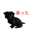 グラのひとこと（個別スタンプ：10）