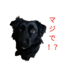 グラのひとこと（個別スタンプ：11）
