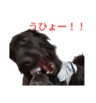 グラのひとこと（個別スタンプ：13）