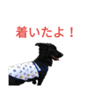 グラのひとこと（個別スタンプ：16）