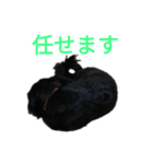 グラのひとこと（個別スタンプ：18）