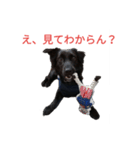 グラのひとこと（個別スタンプ：23）