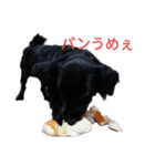 グラのひとこと（個別スタンプ：24）