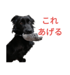 グラのひとこと（個別スタンプ：25）