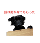 グラのひとこと（個別スタンプ：26）