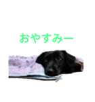 グラのひとこと（個別スタンプ：30）