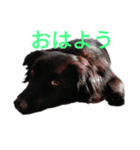 グラのひとこと（個別スタンプ：31）