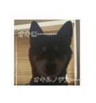 ブラックビーンちゃん（個別スタンプ：2）