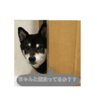 ブラックビーンちゃん（個別スタンプ：11）