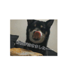 ブラックビーンちゃん（個別スタンプ：14）