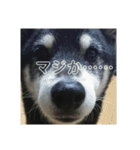 ブラックビーンちゃん（個別スタンプ：19）