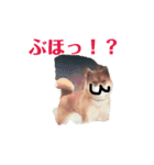シンゲキの大怪獣軍団パート1（個別スタンプ：29）