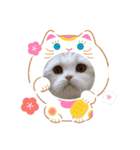 スコのはちち3（個別スタンプ：7）