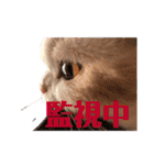 スコのはちち3（個別スタンプ：14）
