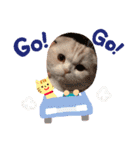 スコのはちち3（個別スタンプ：23）
