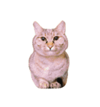 ねことねことねこ。（個別スタンプ：9）