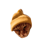 ねことねことねこ。（個別スタンプ：13）