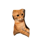ねことねことねこ。（個別スタンプ：15）
