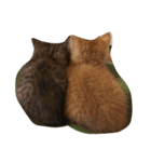 ねことねことねこ。（個別スタンプ：16）