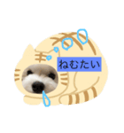 ここちゃんのまるいちスタンプ（個別スタンプ：4）