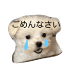 ここちゃんのまるいちスタンプ（個別スタンプ：6）