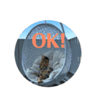 あっくん          スタンプ！！（個別スタンプ：10）