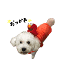犬＆娘の家族（個別スタンプ：8）