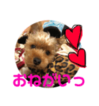 ちょこちゃんのスタンプ♡時々まろん♡（個別スタンプ：21）