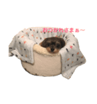 トイくん ヒマちゃん（個別スタンプ：2）