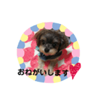 トイくん ヒマちゃん（個別スタンプ：4）