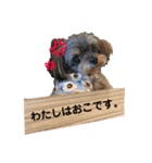 トイくん ヒマちゃん（個別スタンプ：5）