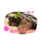 トイくん ヒマちゃん（個別スタンプ：7）