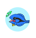 毎日さかなちゃん（個別スタンプ：2）
