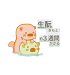 純米ラッコ（個別スタンプ：26）