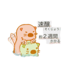 純米ラッコ（個別スタンプ：27）