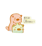純米ラッコ（個別スタンプ：28）