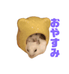 動物色々（個別スタンプ：3）