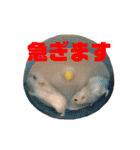 動物色々（個別スタンプ：4）