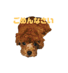 動物色々（個別スタンプ：7）