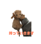 動物色々（個別スタンプ：8）